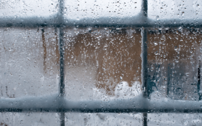 How SLIP can Protect Your Windows from Snowfall Damages
