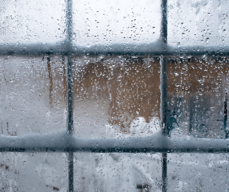 frozen-window