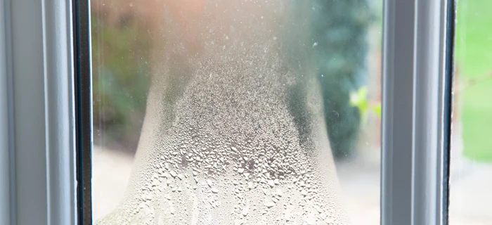 Close-up of condensation on a window, creating water droplets on the glass. Bright outdoor light and blurred greenery visible in the background.